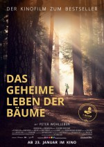 Das geheime Leben der Bäume Das geheime Leben der Bäume