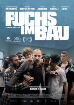 Fuchs im Bau Fuchs im Bau